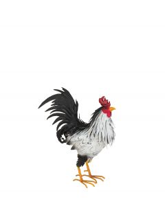 Sussex Rooster Decor 15"