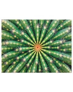 Vivare Wall Art 16"x12" - Succulent