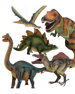 Dinosaur Decor Pre-Pack 7 Pc   