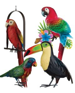 Tropical Bird Pre-Pack 16 Pc