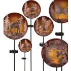 Night Sky Solar Stake Assortment