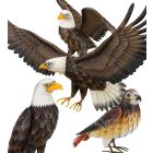 Eagle & Hawk Decor Pre-Pack 8 Pc