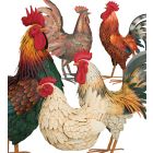 Metal Rooster Decor Pre-Pack 55 Pc