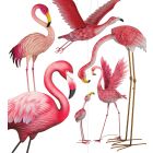 Flamingo Pre-Pack 20 Pc