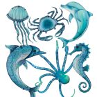 Seablue Wall Decor Pre-Pack 24 Pc