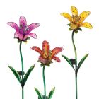 Solar Tiger Lily Stake Pre-Pack 12 Pc