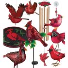 Cardinal Accesories Pre-Pack 48 Pc