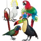 Tropical Bird Pre-Pack 20 Pc