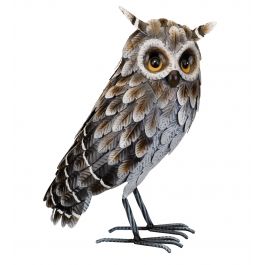 Grey Horned Owl - Standing