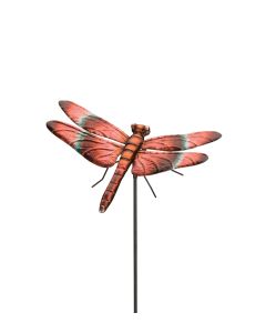 Dragonfly Stake 36" - Meadowhawk