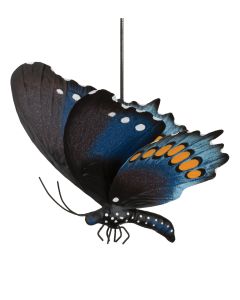 Butterfly Bouncie - Pipevine