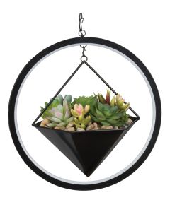 Lumen Succulent Solar Lantern - Hexagon 1