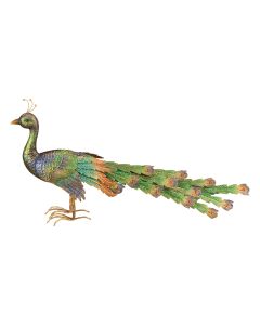 Imperial Peacock Decor - Roamer