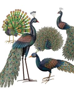Peacock Decor Pre-Pack