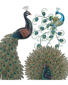 Peacock Wall Decor Pre-Pack