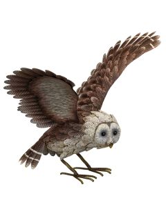 Barn Owl - Wings Up
