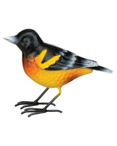Bird Decor - Oriole