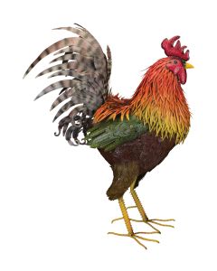 Napa Rooster Decor- Big Daddy