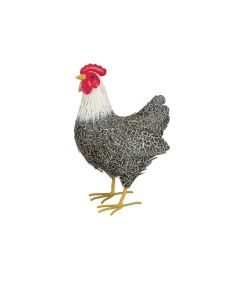 Murray Hen Decor
