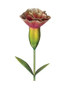 3D Flower Stake - Carnation 
