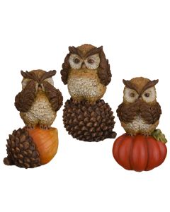 Harvest Owl Decor Set/3