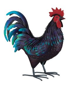 Shetland Rooster LG
