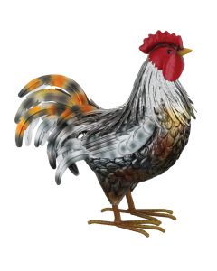 Leghorn Rooster SM - White