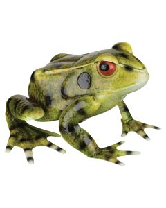 Frog Decor 13"