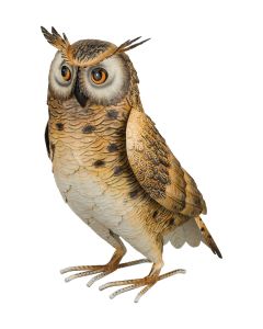 Long Eared Owl 14"