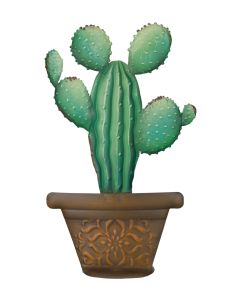 Potted Seguaro Decor