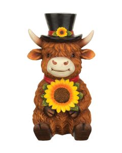 Sir Sunny Highland Cow
