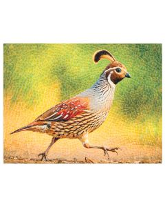 Vivare Wall Art 16"x12" - Quail
