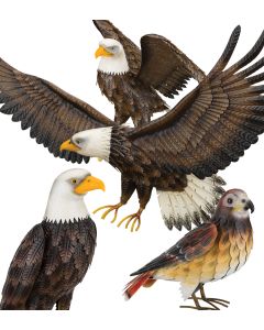 Eagle & Hawk Decor Pre-Pack 8 Pc