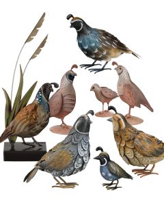 Quail Pre-Pack 28 Pc