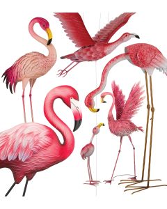 Flamingo Pre-Pack 20 Pc