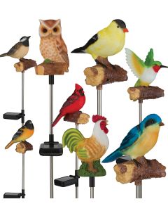 Bird Solar/Sound Stake Pre-Pack 32 Pc