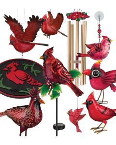 Cardinal Accesories Pre-Pack 48 Pc
