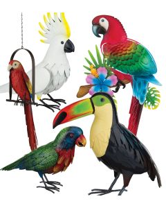 Tropical Bird Pre-Pack 20 Pc