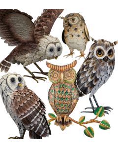 Owl Pre-Pack 18 Pc