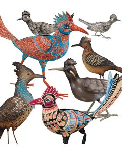 Roadrunner Decor Pre-Pack 22 Pc