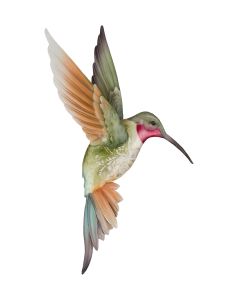 Jewel Hummingbird Wall Decor – Ruby LG