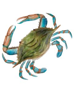 Capiz Green Crab Wall Decor - LG
