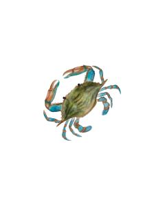 Capiz Green Crab Wall Decor - SM
